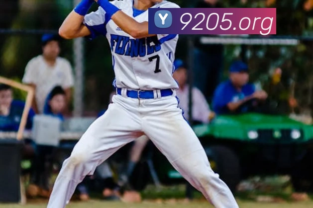 平台使命图